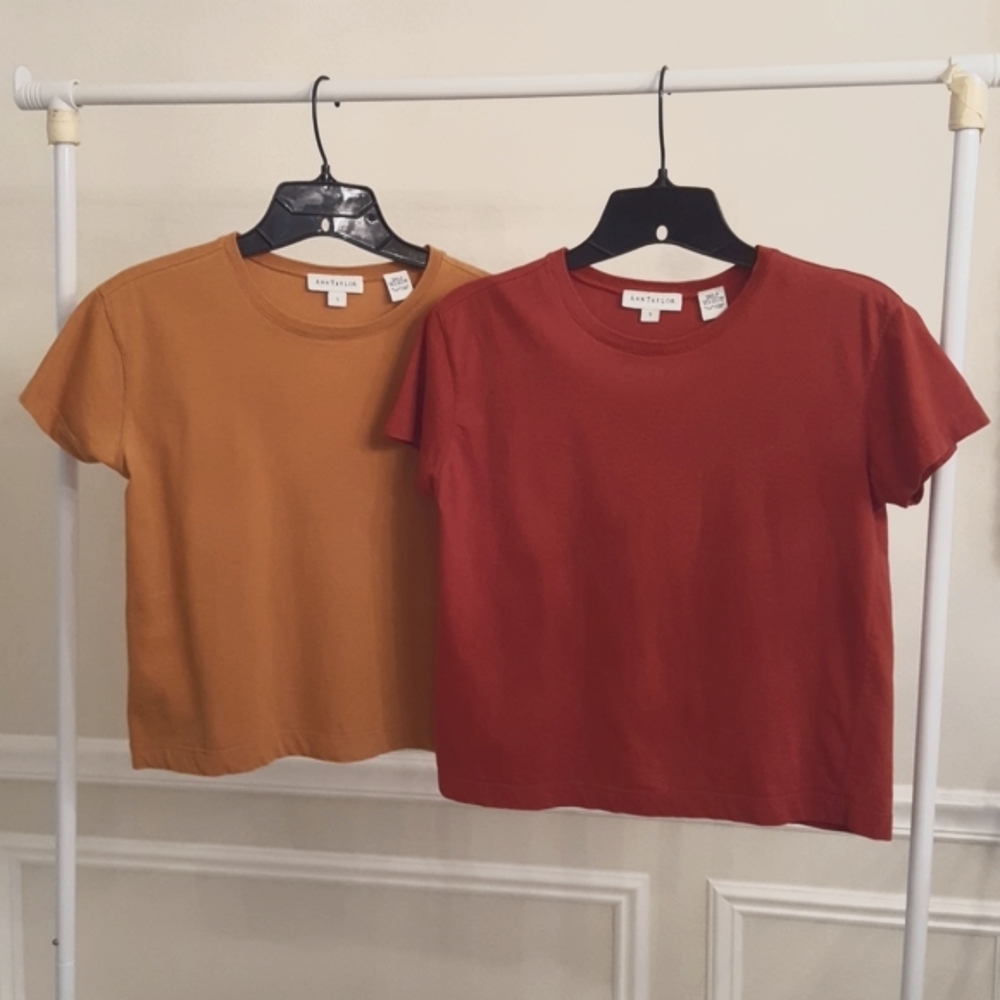 Ann Taylor Tees - Lot of 2